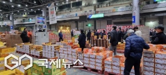 서귀포시, 농업에 414억 투입…감귤·밭작물 경쟁력 강화