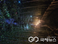 월아산 숲속의 진주, 다시 찾는 숲으로 힘찬 도약 준비