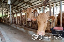 괴산군, 축수산업 183억원 투입...106개 사업 추진