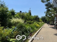 양천구, 1004개 테마정원 조성…정원도시 양천 로드맵 발표