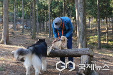 '46년 숲의 진심' 사천편백림, '경상남도 사회공헌자' 인증 획득