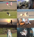 TV동물농장 행복 위해 제주로...원섭 씨와 반려견 닮이 사연