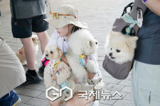 동대문구, 취약계층 반려동물 돌봄 지원…우리동네 펫위탁소 운영