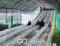 영등포구 어린이, 청양군 문화 체험… 친선 도시 교류 활성화