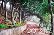 경남도, 설 연휴 가족과 함께 떠나는 여행지 18곳 소개