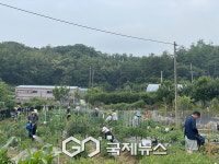 구로구, 도심 속 힐링! 2026년 주말농장 참여자 모집