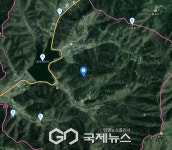 [속보]예산군 대술면 송석리 야산 산불… 강풍 속 긴급 진화