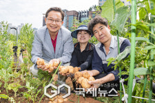 영등포구, 문래동 도시텃밭 참여자 모집… 도심 속 힐링 공간 제공