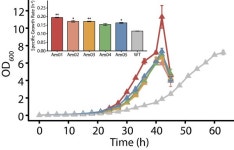 메탄올 내성 슈퍼 균주 개발... 바이오 리파이너리 원천 기술