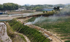 충북도, 봄철 소각산불 근절 주말 기동 단속 나서
