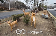 서대문구, 연세대 남문 인근 교통섬에 이색 경관 조성