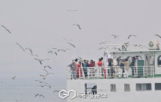 [국제포토] 섬 여행 & 힐링은 덤