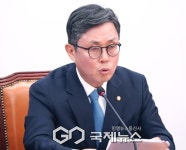안도걸 '추경·시장 안정 신속 가동 필요'