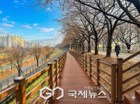 구로구, 안양천·도림천 벚꽃길 환경 정비 완료…봄나들이객 맞이