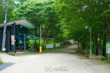 경주시시설관리공단, 토함산자연휴양림 숲-마중 픽업 도입