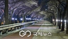 영주시, 야간 보행환경 개선 위한 원당천 야간경관 개선공사 완료