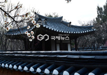[국제포토] 매화가든