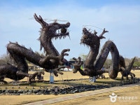 답답한 도심 벗어나 지평선으로… 봄 기운 가득한 전북 김제 힐링 코스