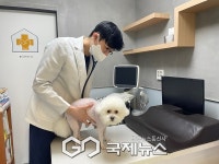 영등포구, 반려동물 광견병 예방접종 & 취약계층 의료비 지원
