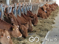 진주시, 기후 위기시대 환경친화적 축산업으로 미래 개척