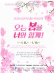 춘천시 부귀리 봄 절정… 벚꽃잔치 11일부터 열려