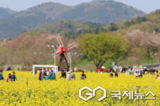 전국 최대 규모 유채단지 노란물결 … 제21회 창녕낙동강유채축제 성황리에 마쳐