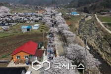 [포토] 예산군, 내포 가야산 걷기행사로 "봄 정취 만끽"