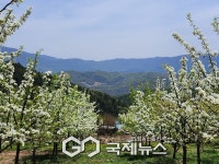 홍천군, 농촌진흥청 인증 홍천 1호 내면 치유 농장 자운마루, 우수 치유농업 시설 인증 획득