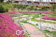 [포토] 의왕시, 분홍빛 설레는 백운밸리의 봄