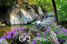 용소계곡서 물빛 트레킹…자연 교감·포토존 등 다채