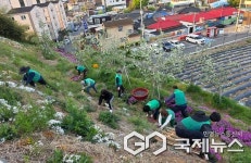 충주시 지현동 주민들 자발적 마을 가꾸기 나서