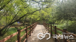 군산시, 월명공원 수변데크 새 단장...안전하고 쾌적한 산책 환경 조성