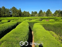 제주 여행, 고양이 기사단으로 변신해 미로탐험 하면 선물이 펑펑!