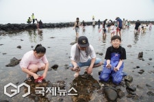 대통령상 품은 제주 마을…귀리 전통문화축제 열린다