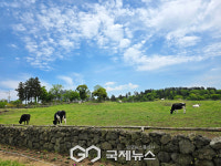 한라산 대자연 속 아이들의 천국 아침미소목장