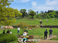 한라산 대자연 속 아이들의 천국 아침미소목장