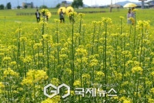 우리 함께 꽃길만 걸어요…철원 고석정 꽃밭
