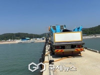 홍성군, 서부면 속동항에 대하 종자 3,700만 마리 방류