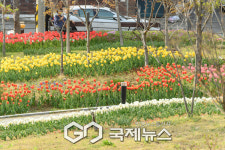 양천구 정원도시 프로젝트 2029년까지 1,004개 테마정원 조성 추진
