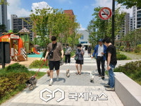 성북구 장위3동, 댕댕이와 올바른 발걸음…반려견 산책교실 성료