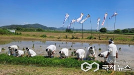 함안농요 체험장서 실제 농사 재현…전통문화 체험 기회 제공