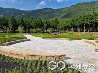 사천1리(중동)소공원 | 사천시, 주민과 함께 만든 와룡 편백숲 소공원 조성