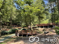 용인자연휴양림 야영장 재개장…6억5천만원 들여 시설 정비