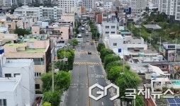 부산 남구, 은행나무 테마전정 확대…유엔로·용호로 네모 가로수길 조성