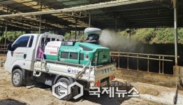 영주시, 인접 군 구제역 발생에 따른 긴급 차단방역 총력