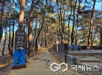 강릉시 포남2동, 맨발 걷기 수요에 춘갑봉 산책로 개선 완료