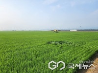 진천농약할인마트 | 진천군, 벼 생육 중기 병해충 약제 공급·공동방제 추진