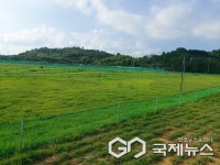사천 구우진항 파크골프장 A코스 재개장...29일부터 A·B코스 전면 운영