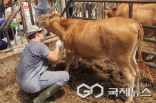 충북도, 동물의료지원반 가동…축산농가 피해 신속 지원
