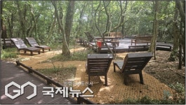 장애인·고령자도 편안하게…서귀포 1.2㎞ 무장애숲길 개선